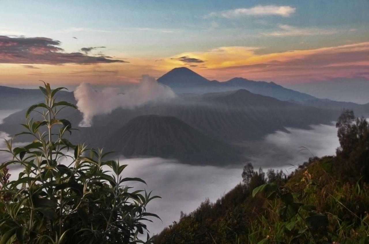 Plataran Bromo Hotell Eksteriør bilde
